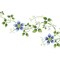 Large Clematis Flower Vine Wall Stencil | 1483 by Designer Stencils | Floral Stencils |